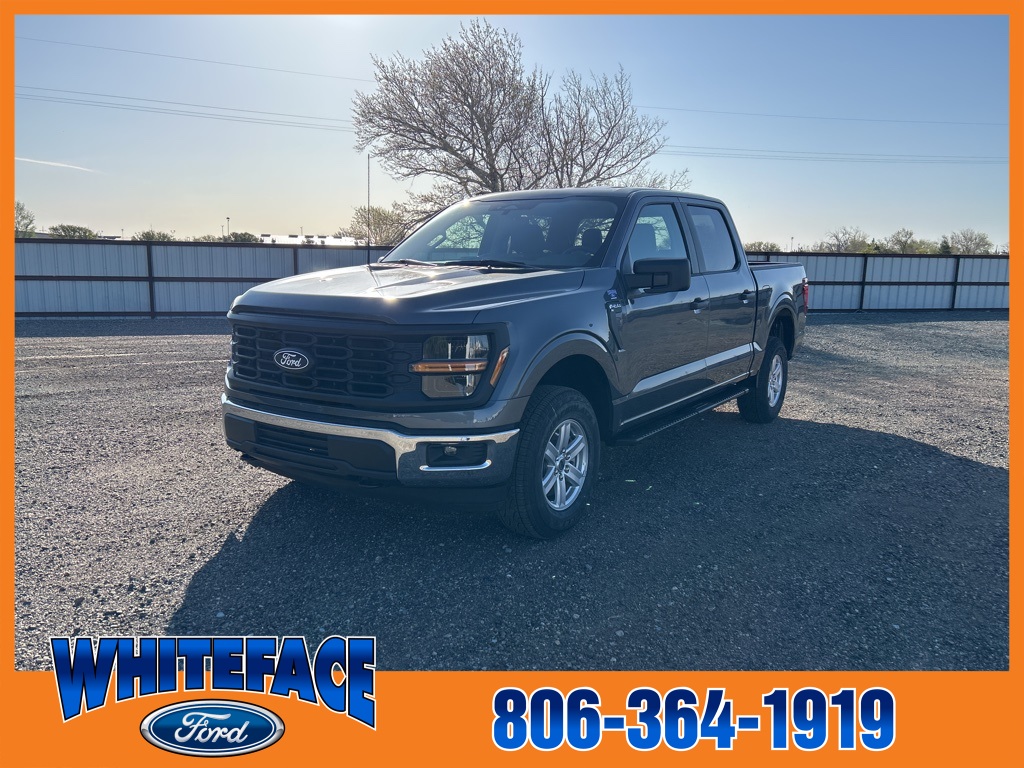 2025 Ford F-150 XL photo 2