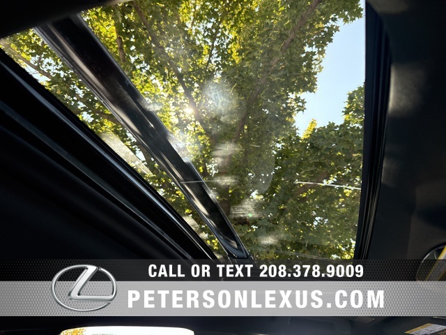 2025 Lexus RX 350 Premium photo 12