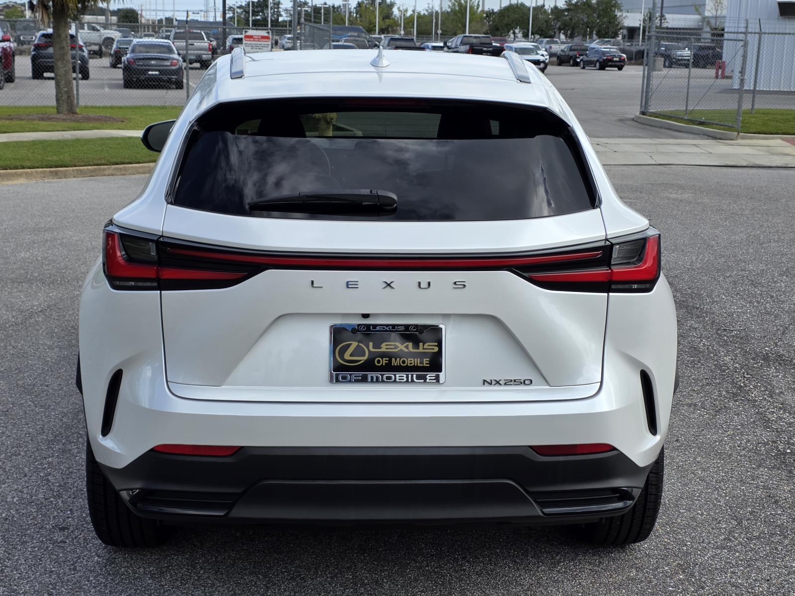 2023 Lexus NX 250 photo 2
