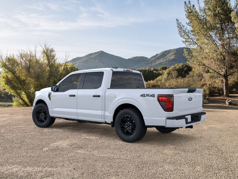 2025 Ford F-150 STX photo 2