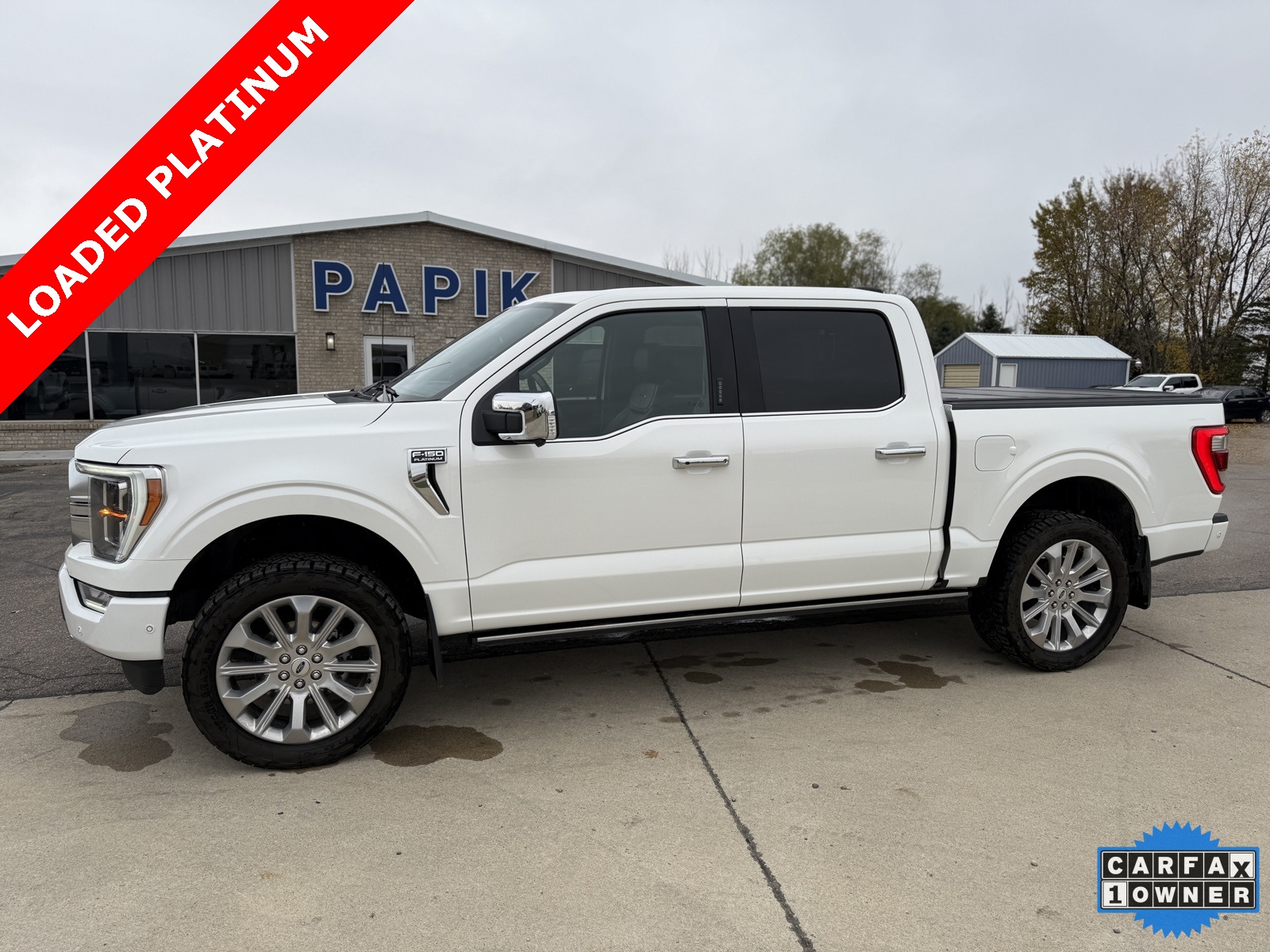 2023 Ford F-150 Platinum's photo