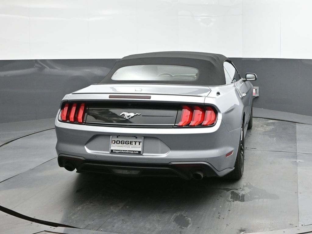 2023 Ford Mustang EcoBoost Premium photo 11