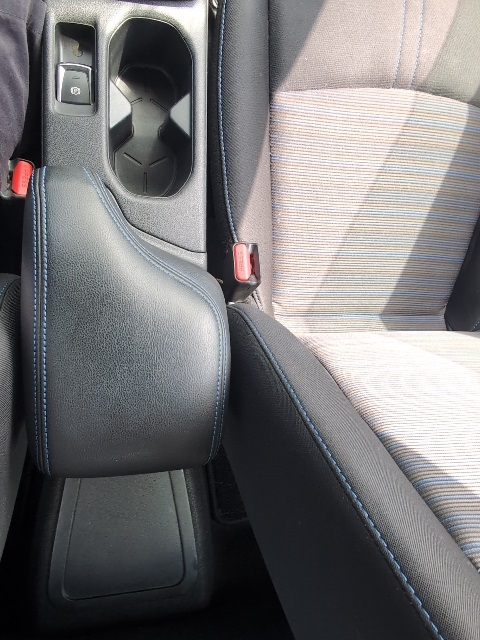 2019 Nissan Leaf SV Plus photo 29