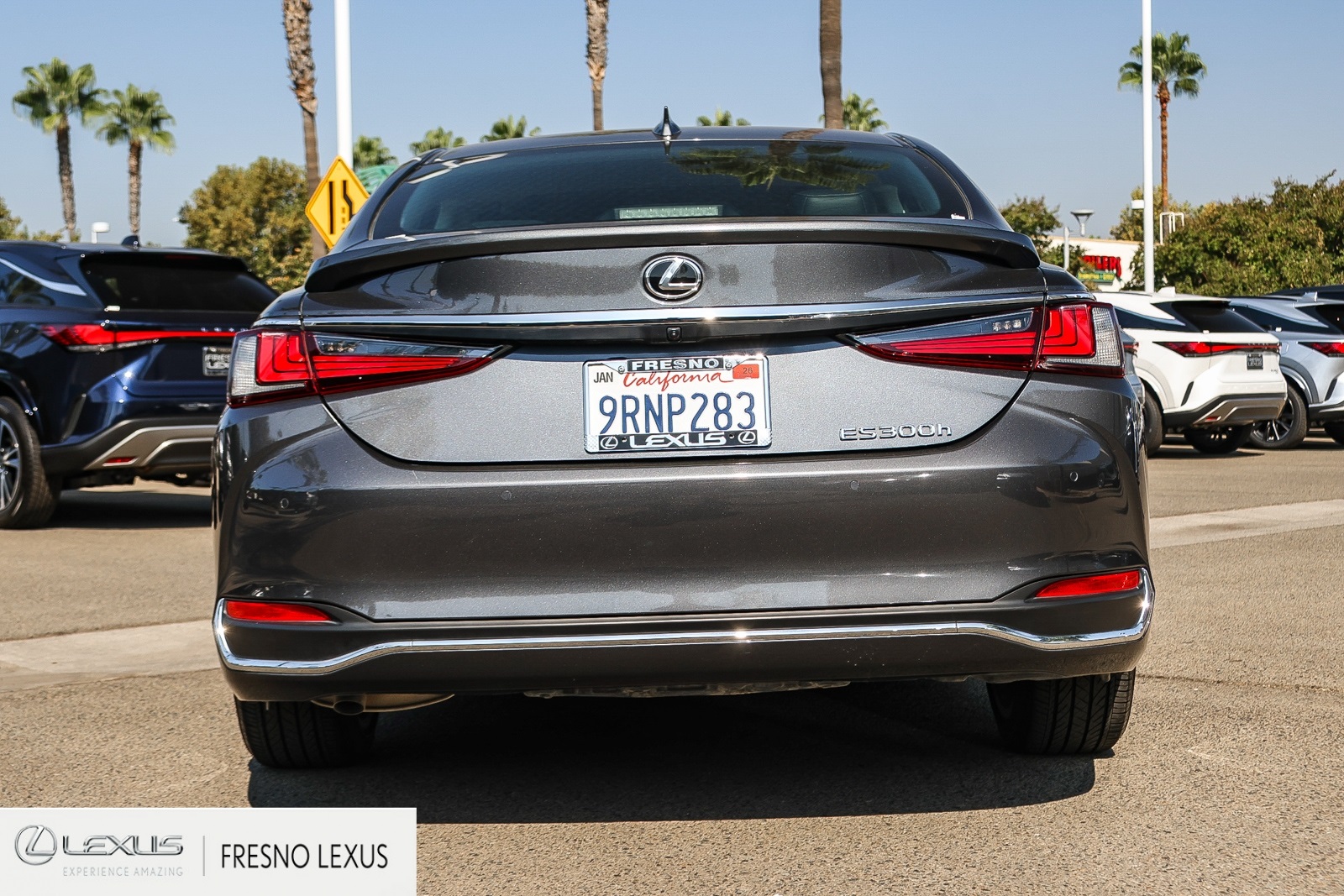 2025 Lexus ES 300h photo 5