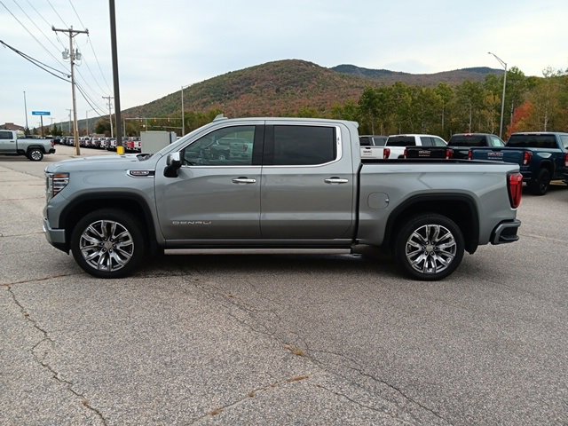 2025 Gmc Sierra 1500 Denali photo 4
