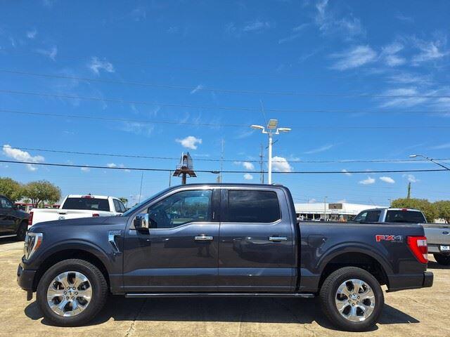 2021 Ford F-150 Platinum photo 2