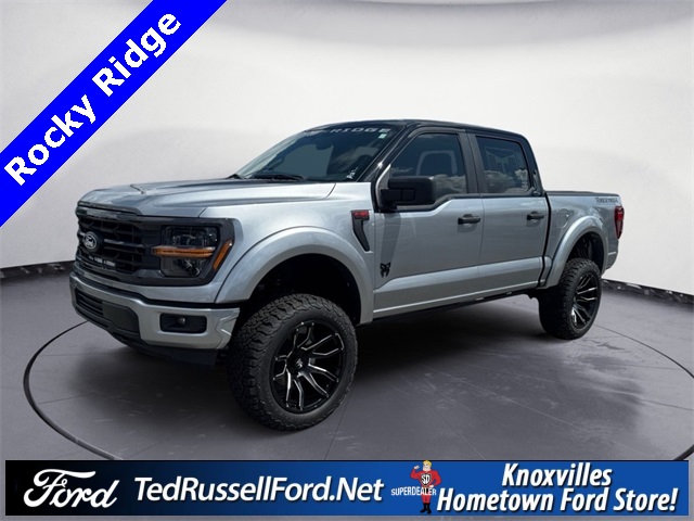 2025 Ford F-150 STX's photo