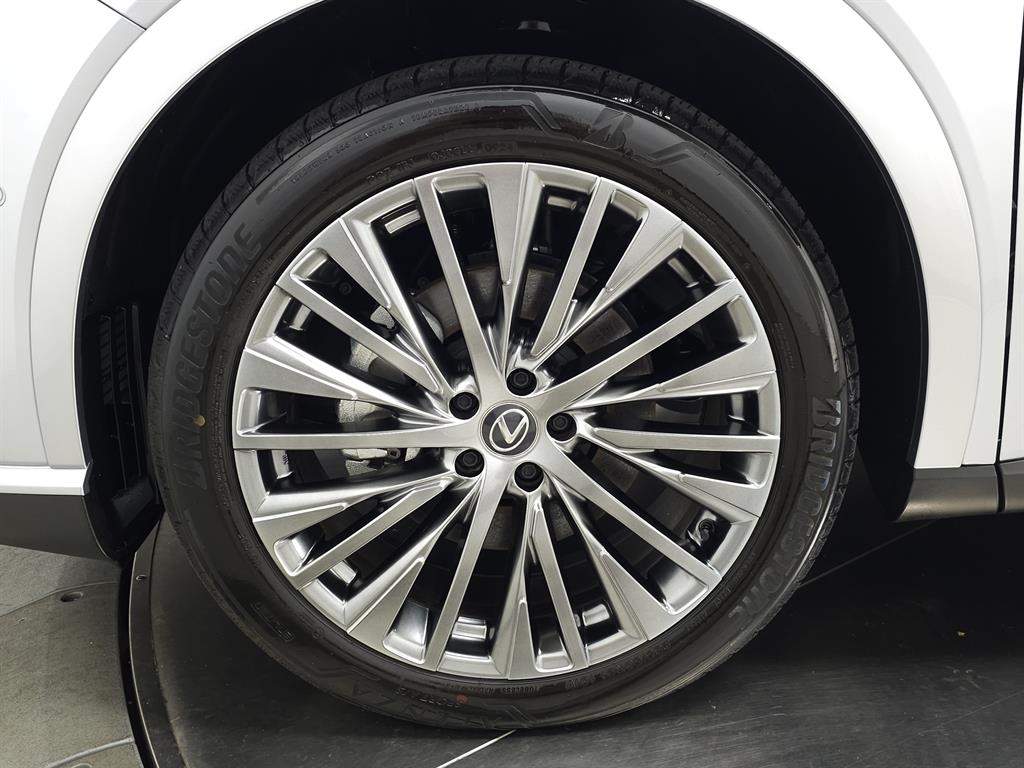 2024 Lexus RX 450h photo 12