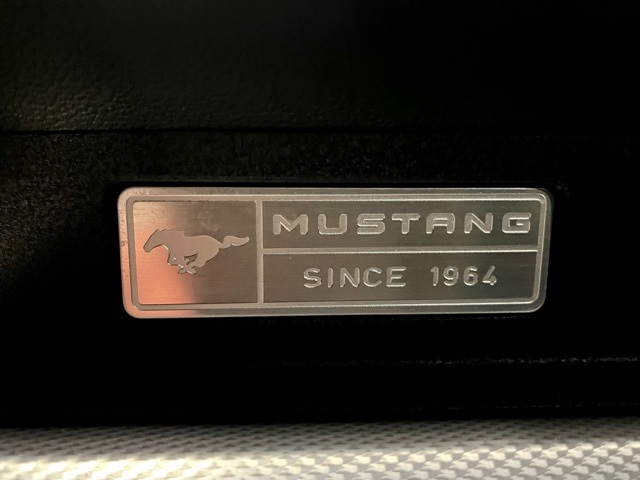 2015 Ford Mustang EcoBoost photo 16