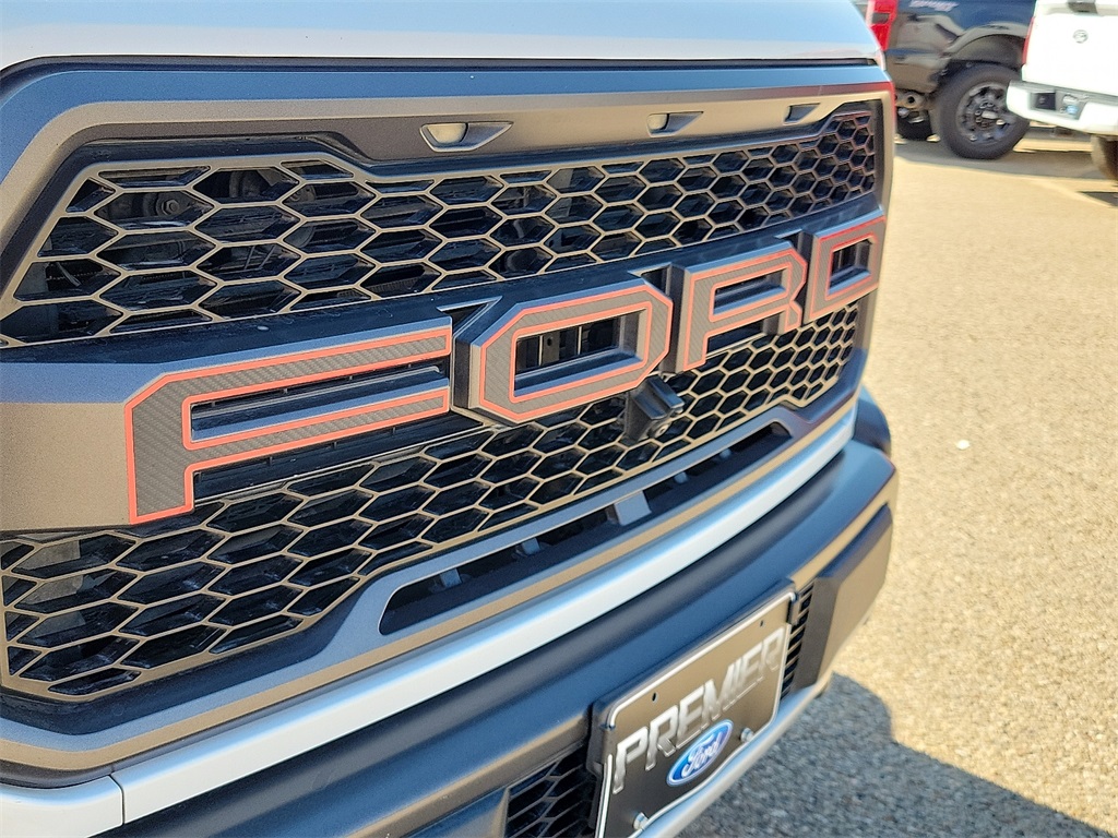 2020 Ford F-150 Raptor photo 13