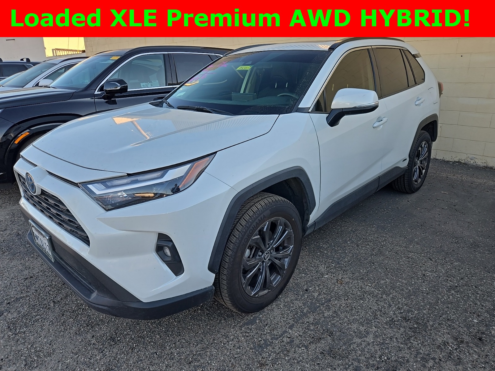 2024 Toyota RAV4 XLE Premium's photo