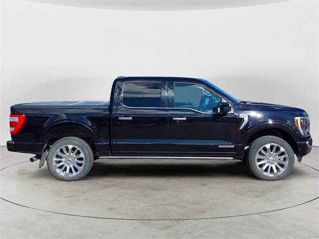 2021 Ford F-150 Limited photo 6