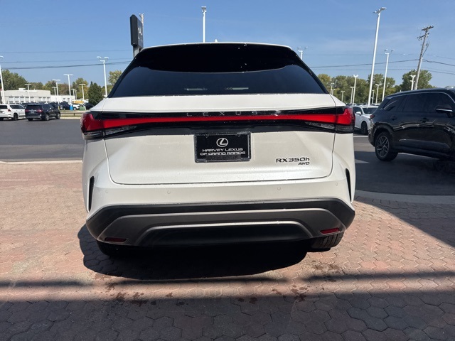 2025 Lexus RX 350 Premium AWD photo 10