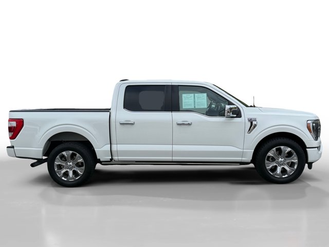 2021 Ford F-150 Platinum photo 6