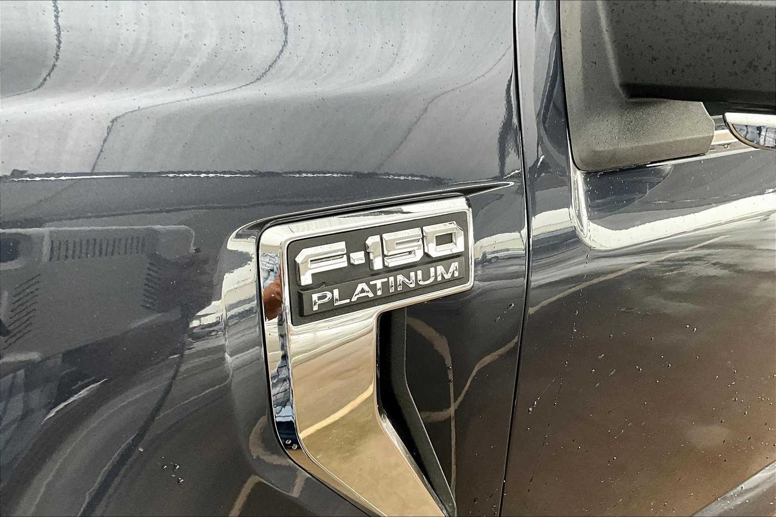 2021 Ford F-150 Platinum photo 8