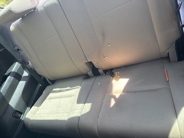 2013 Mazda CX-9 Sport photo 3