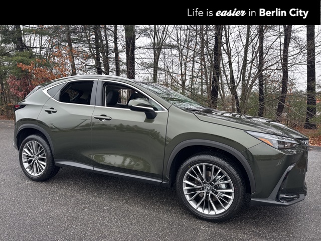 2026 Lexus NX 350's photo