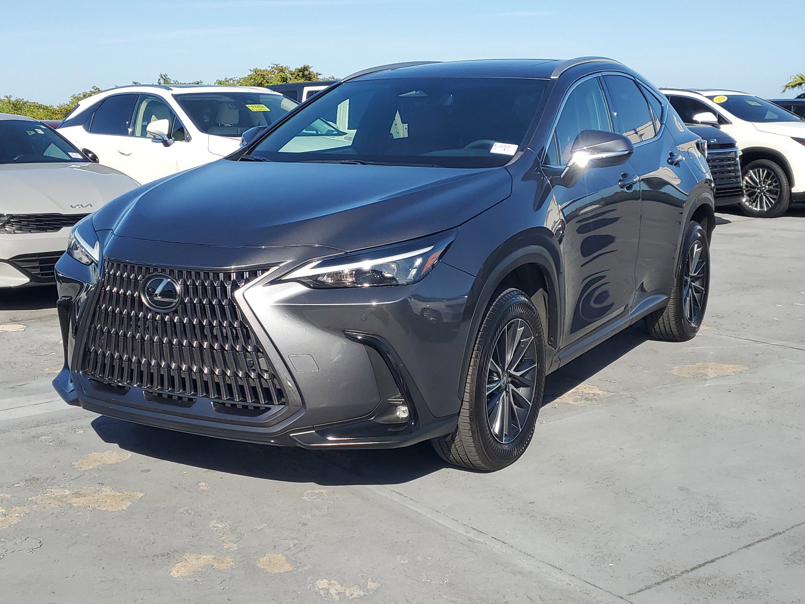 2024 Lexus NX 250 Premium photo 4