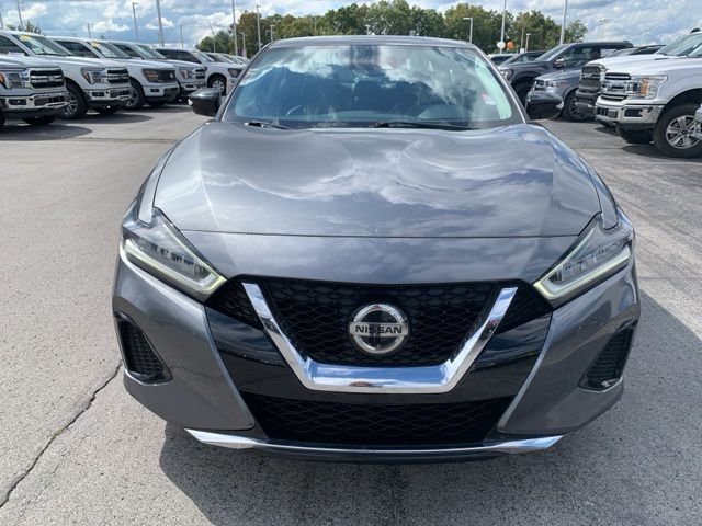 2021 Nissan Maxima SV photo 2