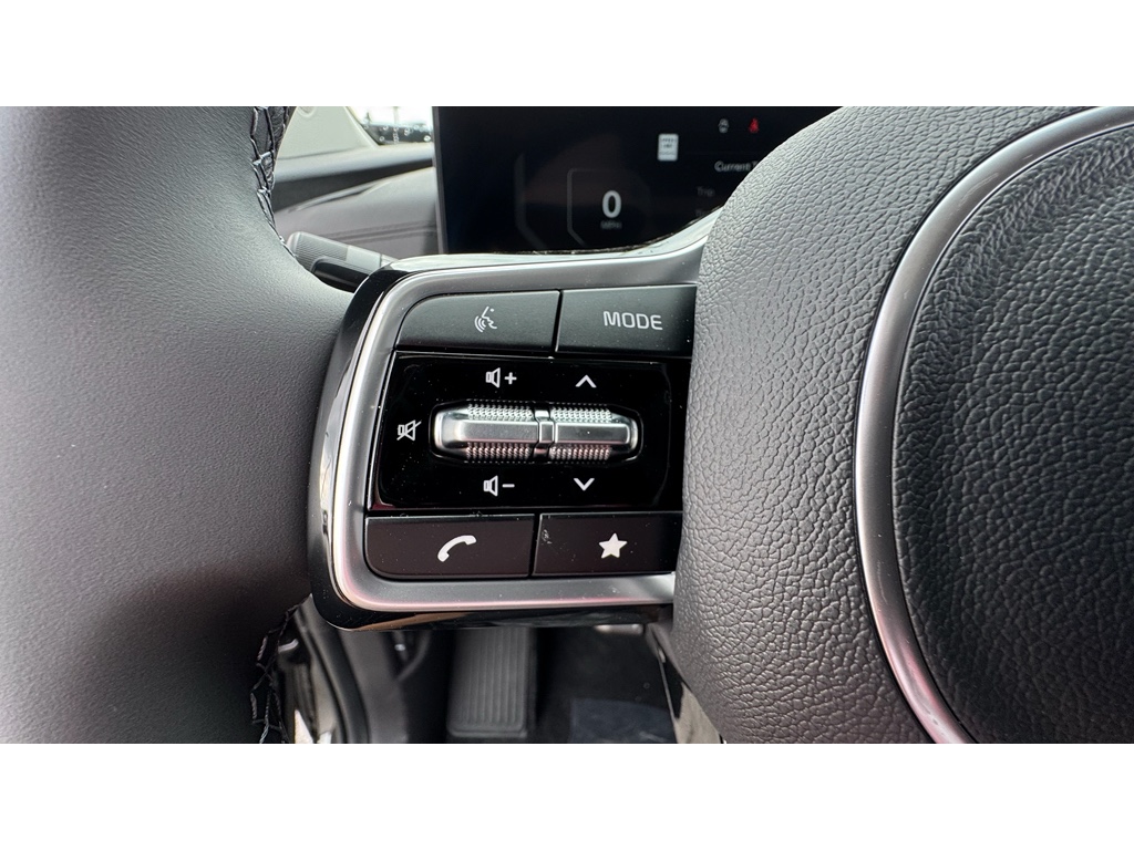 2026 Kia Carnival SX Prestige photo 7