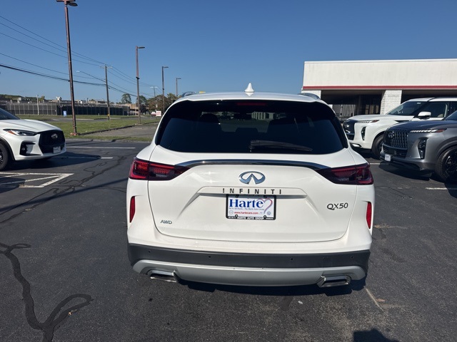 2022 Infiniti QX50 Luxe photo 4