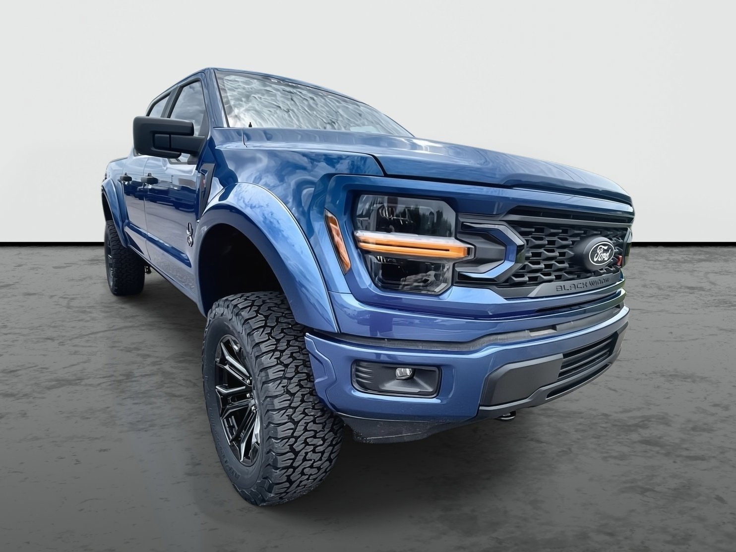 2025 Ford F-150 STX's photo