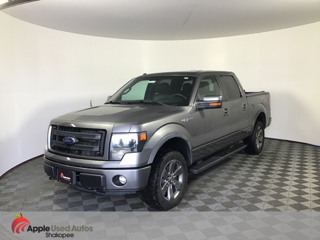 2013 Ford F-150 FX4 photo 3