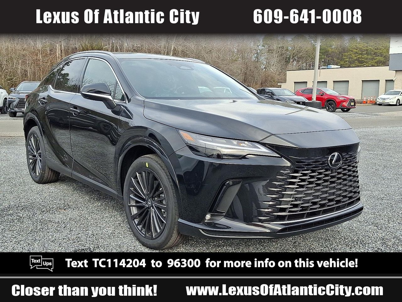 2026 Lexus RX Hybrid 350h's photo