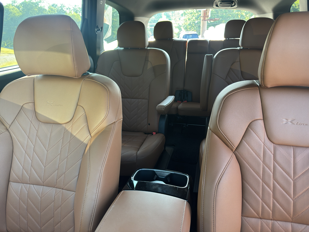 2025 Kia Telluride EX X-Line photo 10