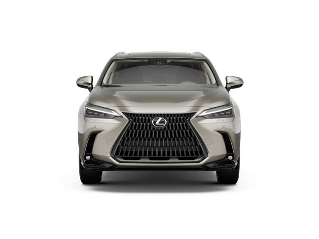 2026 Lexus NX Luxury photo 5