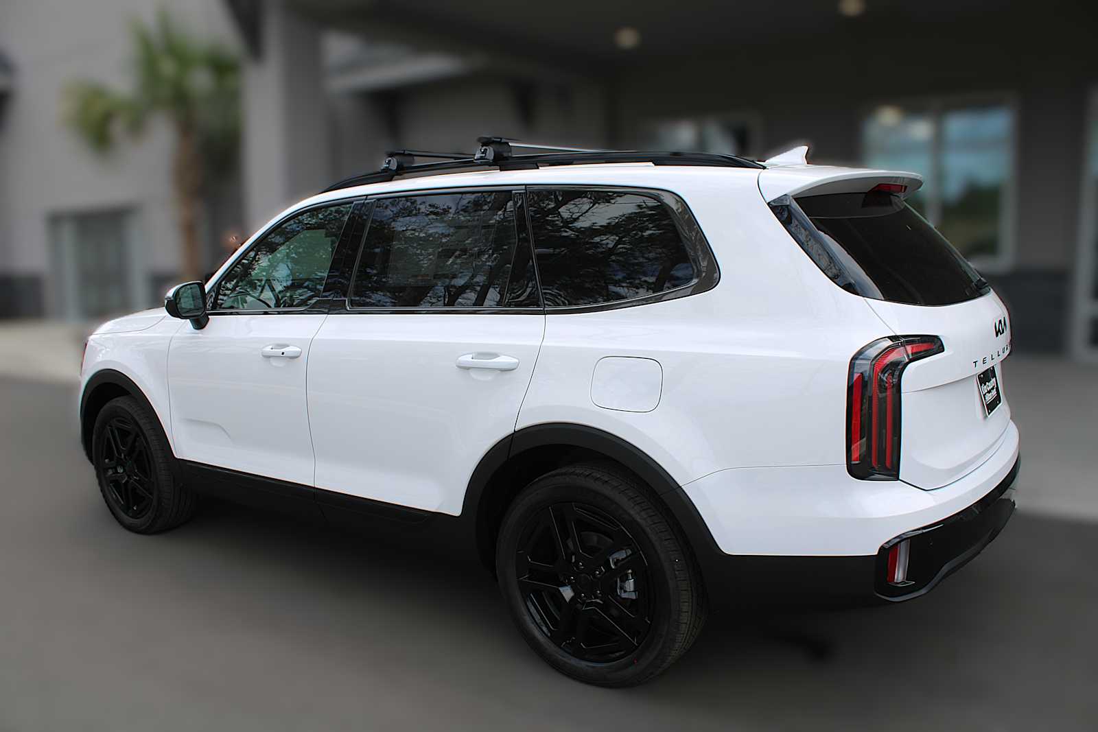 2025 Kia Telluride EX X-Line photo 5
