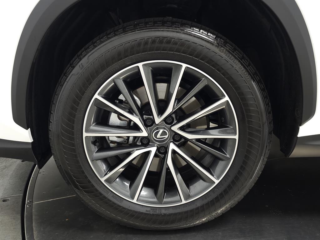 2024 Lexus NX 250 Premium photo 13