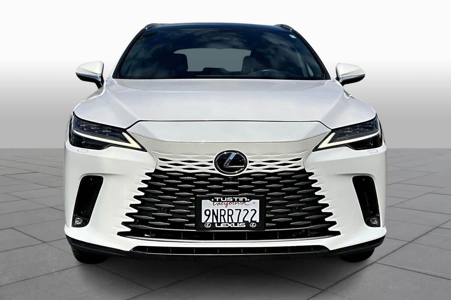 2024 Lexus RX Luxury photo 3