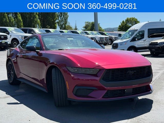 2025 Ford Mustang EcoBoost Premium photo 3