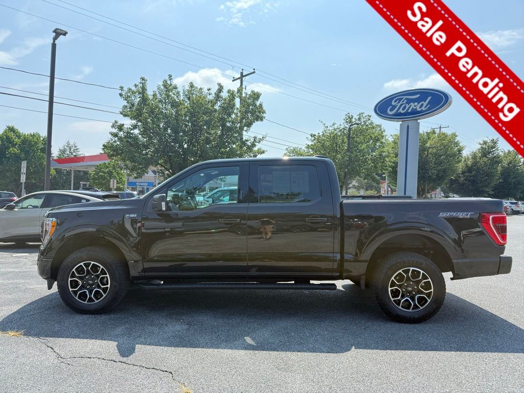2023 Ford F-150 XLT photo 4