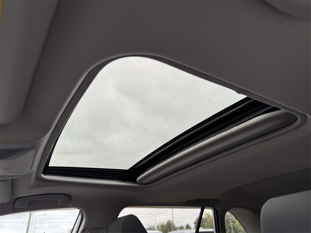 2020 Toyota RAV4 XLE photo 4