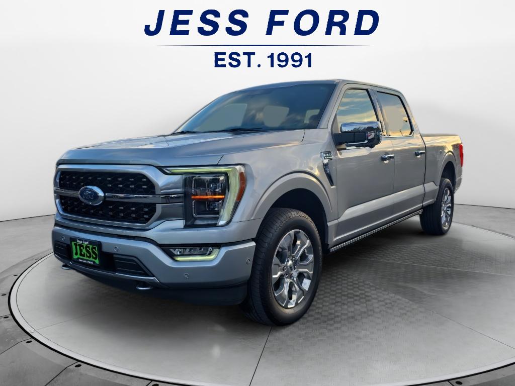 2022 Ford F-150 Platinum's photo