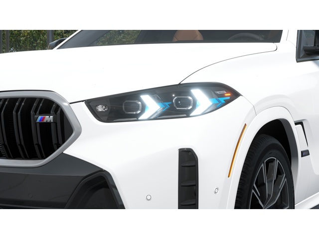 2026 Bmw X6 photo 4
