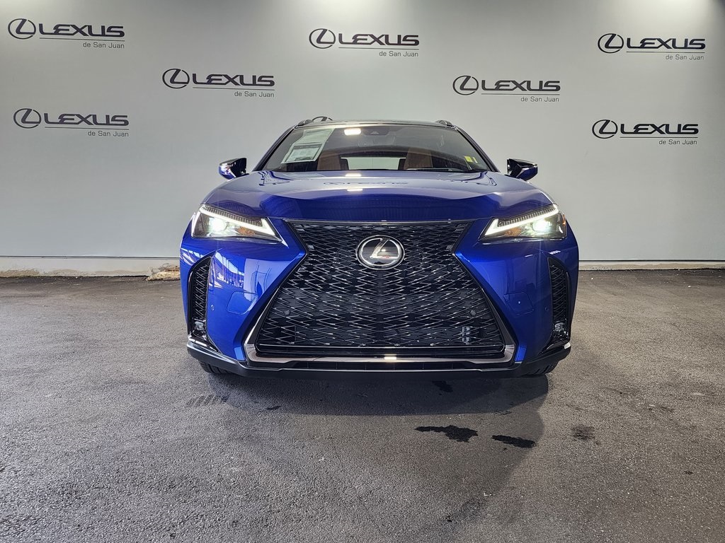 2025 Lexus UX photo 6