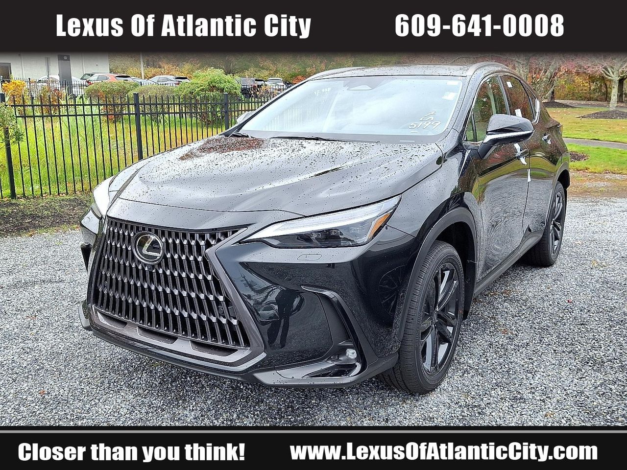 2026 Lexus NX Luxury photo 3