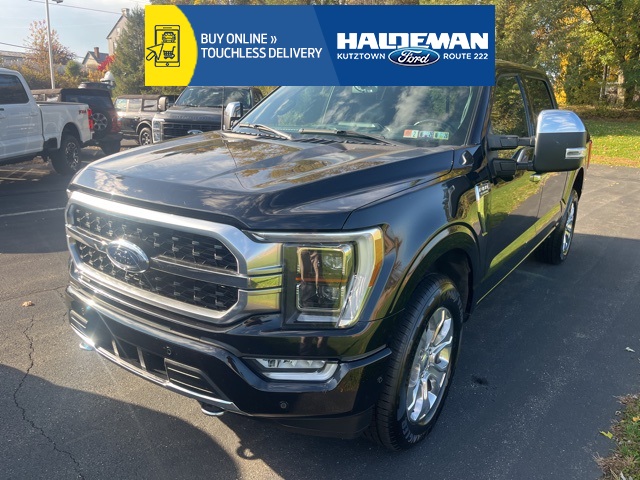 2021 Ford F-150 Platinum's photo