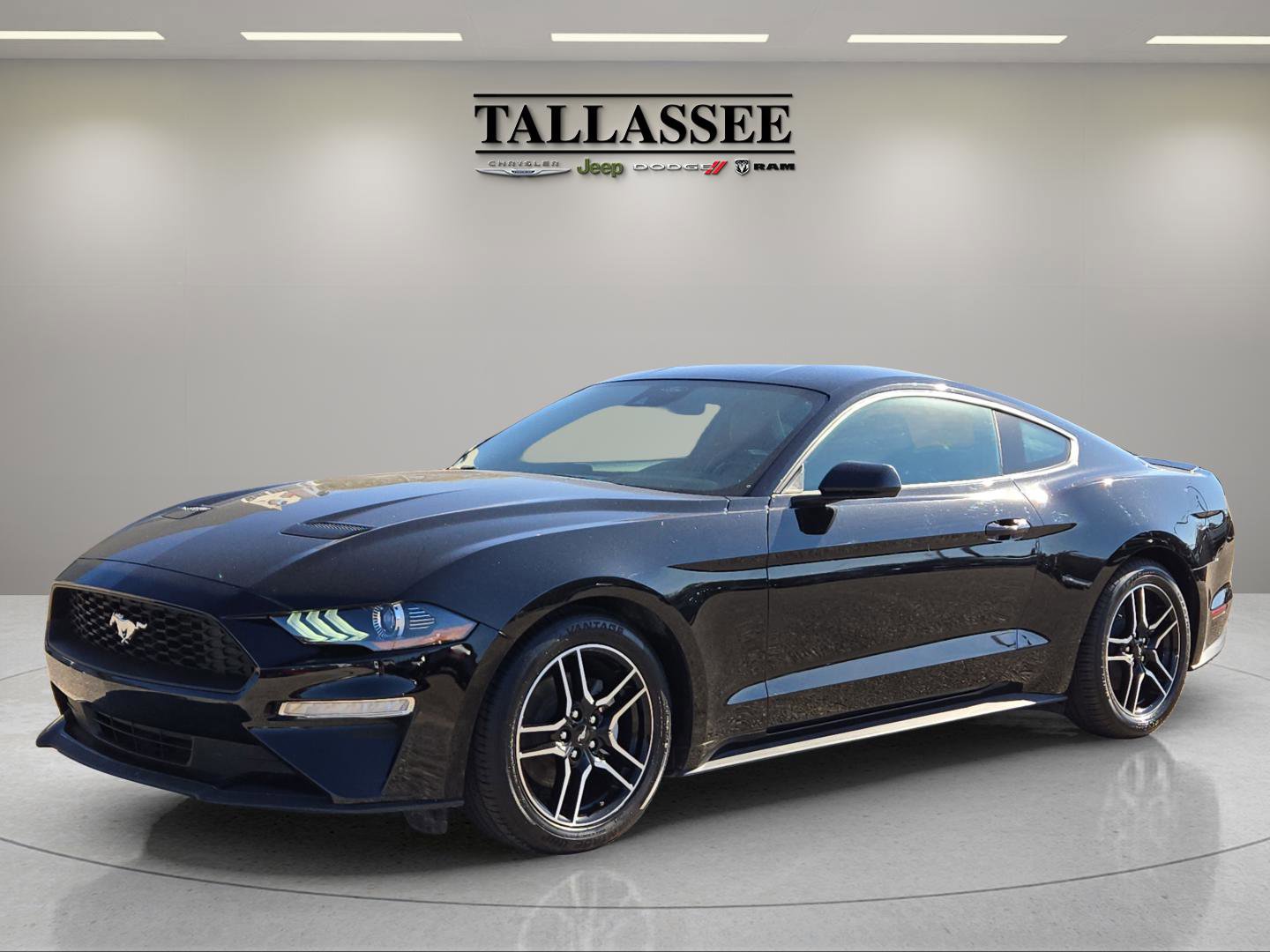 2023 Ford Mustang EcoBoost's photo