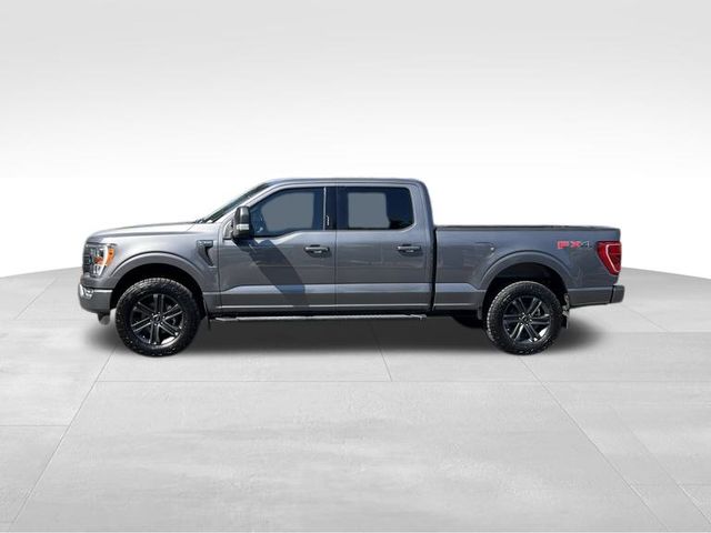 2022 Ford F-150 XLT photo 4