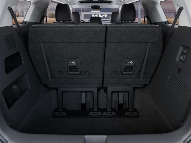 2026 Kia Carnival SX Prestige photo 19