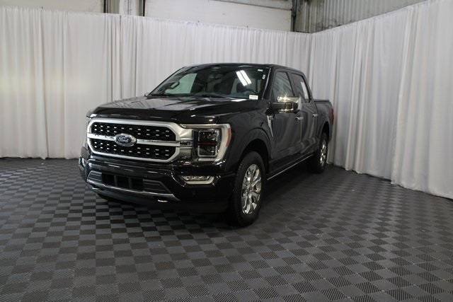 2021 Ford F-150 Platinum photo 29