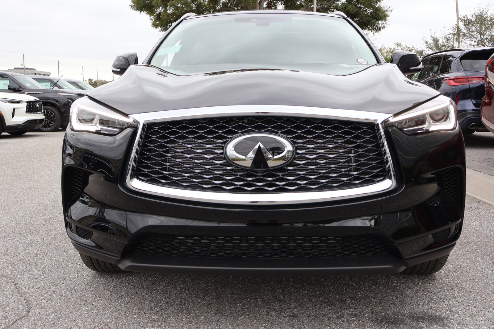 2025 Infiniti QX50 Luxe photo 9