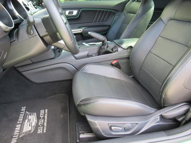 2019 Ford Mustang GT Premium photo 14
