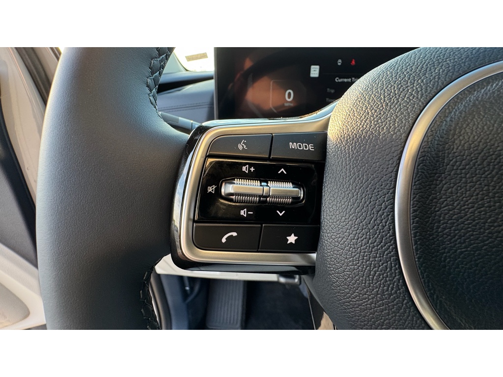 2026 Kia Carnival SX Prestige photo 7