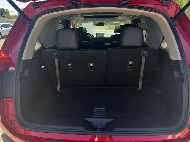 2025 Honda Pilot Touring photo 20