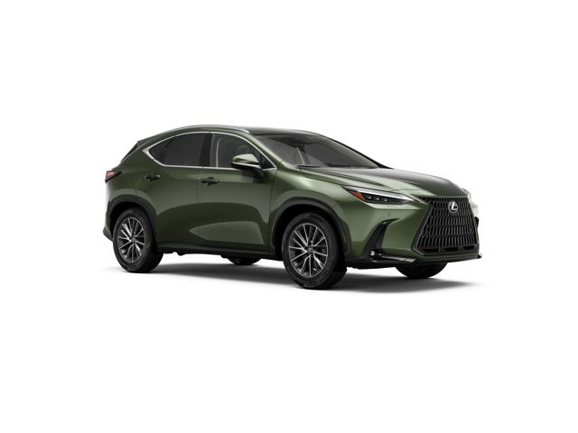 2026 Lexus NX 350 Luxury AWD photo 4